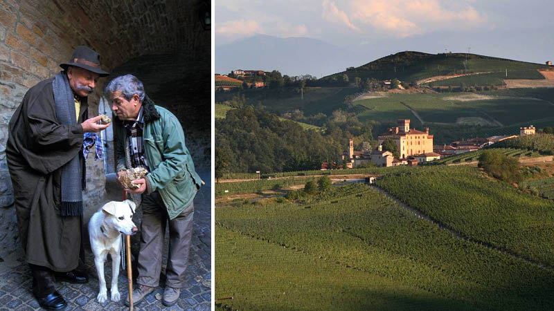 Nyd omgivelserne på Hotel Barolo, Italien